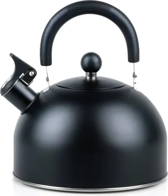 Image de Bouilloire sifflante en acier noir 3 litres