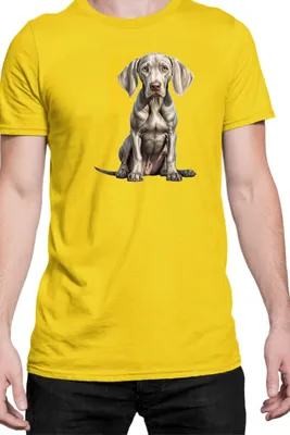 Produktbild von Herren T-Shirt Dogs Breeds Weimaraner Dog Breed 006, Man M / Gelb