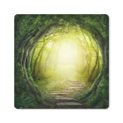 Produktbild von MuchoWow® Mauspad Mousepad Bäume - Wald - Moos 20x20 cm - Mousepads - Maus Mat - Pad - Mausunterlage - Desk Mat - Bureauartikeln