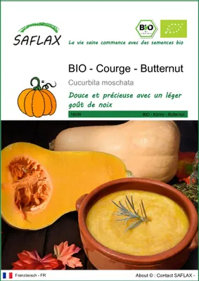 Image de SAFLAX  -- Courge - Butternut - 6 graines - Cucurbita