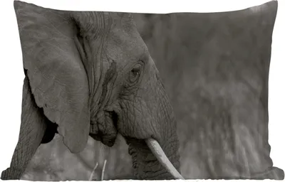 Produktbild von MuchoWow® Outdoor Kissen - Elefant - Tiere - Schwarz - Weiß - 50x30 cm - Wetterfest - Lounge Kissen - Sofa kissen - Wohnzimmer Dekoration