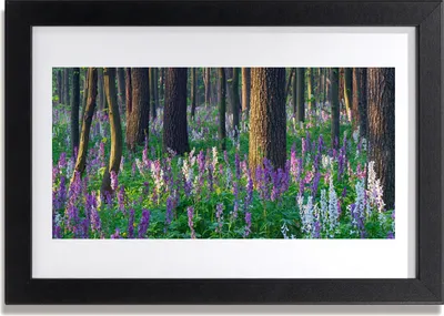 Produktbild von Bild 30x20 MDF-Rahmen Wandkunst Wald Blumen Natur
