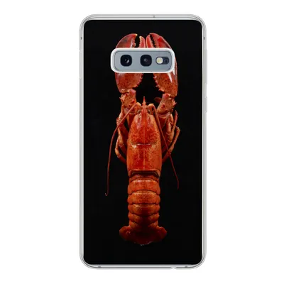 Produktbild von MuchoWow® Handyhülle Schutzhülle Hülle für Samsung Galaxy S10e Krebs - Rot - Porträt Silikon Softcase Handy Hülle - Handy