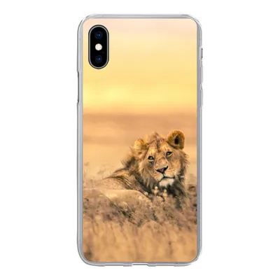 Produktbild von MuchoWow® Handyhülle Schutzhülle Hülle für iPhone Xs Löwen - Gras - Himmel Silikon Softcase Handy Hülle - Handytasche