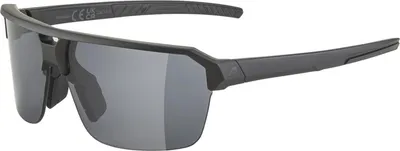 Produktbild von Sonnenbrille Alpina Swift HR Black Matt/Black
