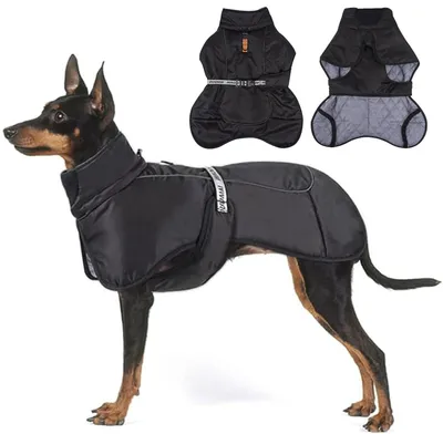 Warmer Hundemantel mit Fleece-Futter, schwarz, XL