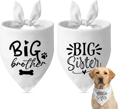 Imagen del producto de Conjunto de pañuelos "Hunde", 2 piezas, tela triangular blanca con estampado, ideal para el día a día y para ocasiones especiales