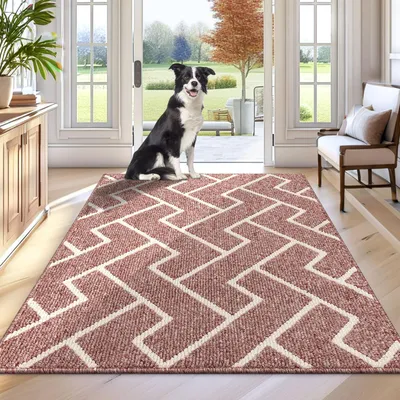 Productafbeelding van Binnenmat, antislip, 80 x 100 cm, waterabsorberend, geschikt voor de entree