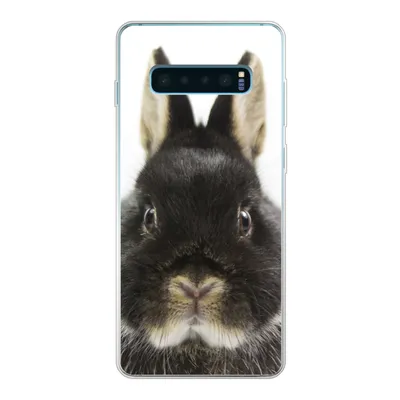 Produktbild von MuchoWow® Handyhülle Schutzhülle Hülle für Samsung Galaxy S10 Plus Kaninchen - Haustiere - Fell Silikon Softcase Handy Hülle - Schutzhülle