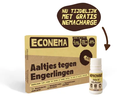 Productafbeelding van Econema Aaltjes tegen engerlingen – gele plekken en loslatend gras in het gazon – 20 m²