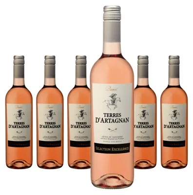 Produktbild von 6 x Plaimont Terres d’Artagnan Rosé