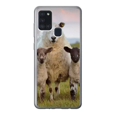 Produktbild von MuchoWow® Handyhülle Schutzhülle Hülle für Samsung Galaxy A21s Schafe - Natur - Schwarz - Weiß Silikon Softcase Handy Hülle - Hartschale