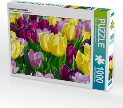 Produktbild von CALVENDO Puzzle Naher Tulpenzauber | 1000 Teile Lege-Größe 64x48cm Foto-Puzzle für glückliche Stunden