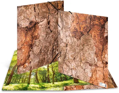 Image de HERMA 19790 HERMA Zeichenmappe Nature DIN A3 Wood