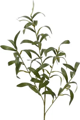 Immagine prodotto di HOMLA Ramo artificiale BOTANIZE Ramo di ulivo 77 cm