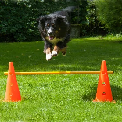 Produktbild von Pylonen-Hürde für Hundesport Agility-Training, Pylonen 42 cm hoch, Stange 100 cm lang, Anfänger Start-Equipment, Einzelhürde