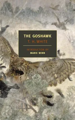 Obrázok produktu pre The Goshawk