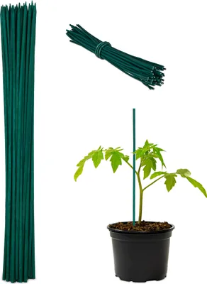 Produktbild von 300 x Pflanzstäbe, HxD 30 x 0,5 cm, Rankhilfe für Jungpflanzen, mit Bindedraht, Bambusstäbe, Blumenstützen, dunkelgrün