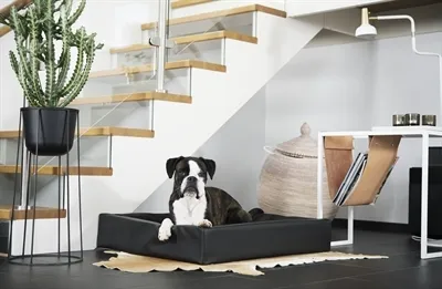 Immagine prodotto di Bia letto cane cesto originale nero