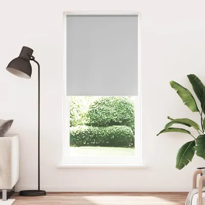 Image de Vidaxl Store à rouleau occultant 100 x 230 cm grau