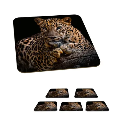 Produktbild von KitchenYeah® Glasuntersetzer Quadratisch 6er Set Wildtiere - Panther - Porträt - Schwarz - Tiere 10x10 cm Untersetzer für Gläser - Getränkeuntersetzer - Tischplattenschutz - Tischuntersetzer für Tass