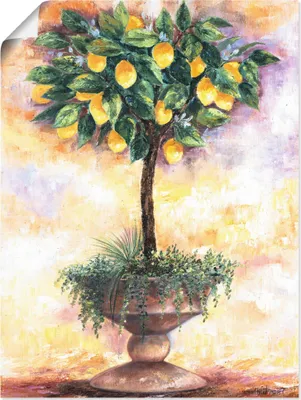 Produktbild von ARTland Poster Zitronenbaum Größe: 45x60 cm