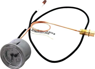 Image de Thermomètre WOLF, pour appareils hydrauliques, 1 pièce.