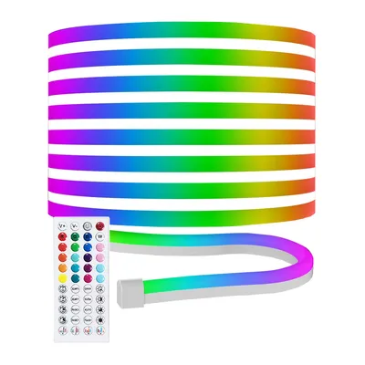 A neon LED light strip and its remote control.