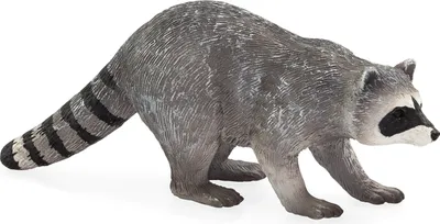 Immagine prodotto di Procione di Animal Planet