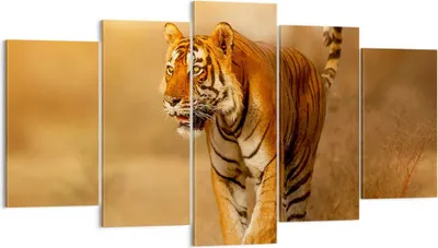 Produktbild von Bild auf Leinwand - Leinwandbild - tiger tier - 160x85cm - Wand Bild - Wanddeko - Wandbilder - Leinwanddruck - Bilder - Kunstdruck - Wanddekoration - Leinwand bilder - Wandkunst - EA160x85-3946