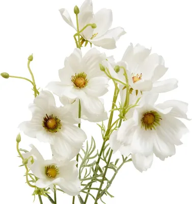 Produktbild von Kunstblume phoebe coreopsis h88 cm  - Atmosphera créateur d'intérieur