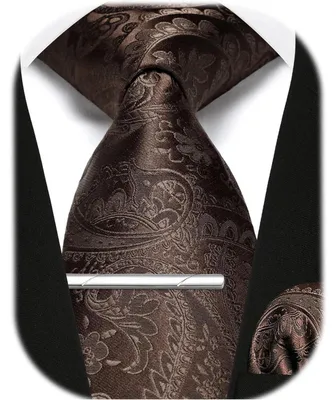 Image de Ensemble de cravates pour hommes comprenant une pochette de costume et une aiguillette, motif Paisley, couleur marron