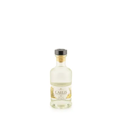 Produktbild von Main-Feines Caelis Dry Gin – Der Wacholderwächter 47% Vol. 200ml