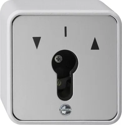 Imagen del producto de REGULADOR GIRATORIO 016330 - Gris - 10 A - 250 V - 1 unidad