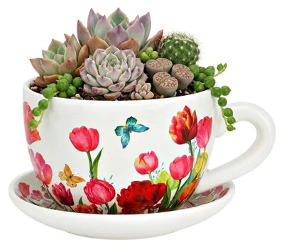Image de Vase ou pot de fleurs en forme de tasse tulipes