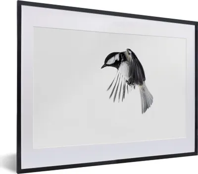Produktbild von MuchoWow® MuchoWow® Gerahmtes Poster Vogel - Federn - Schwarz - Weiß 40x30 cm - Poster mit zchwarzem Bilderrahmen - Bilderrahmen - Poster im Rahmen