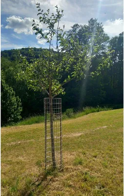 Produktbild von Gabione Steingabionen Steinkorb Höhe 100 cm Drahtkorb Gabionensäule rund Ø 35 cm