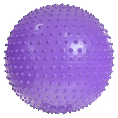 Produktbild von ProFit - Gymnastikball, Massage PP9899 (Einheitsgröße) (Veilchen)