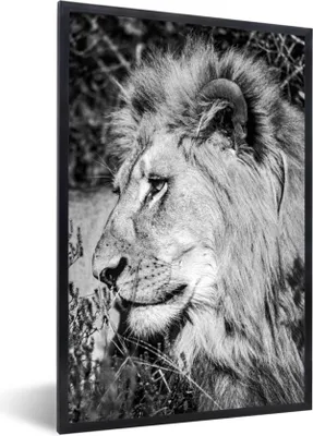Produktbild von MuchoWow® Gerahmtes Poster Löwe - Tiere - Wild 40x60 cm - Poster mit Schwarzem Bilderrahmen Wandposter Rahmen Foto Bilder - Papierdruck - Wandbilder