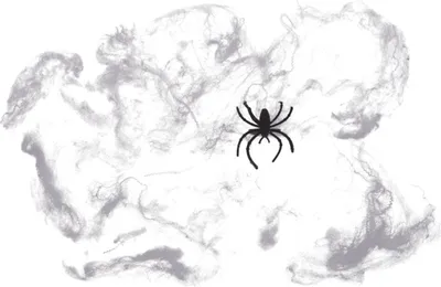 Produktbild von Spinnen im Netz Halloween Spaßartikel im 12er Set