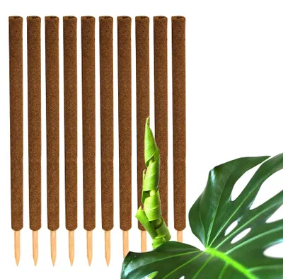 Obrázok produktu pre Sada 10 kokosových rastlinných podpier 110 cm pre izbové rastliny