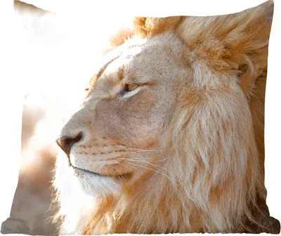 Produktbild von MuchoWow® Zierkissen Sofakissen Wohnzimmer Dekokissen 45x45 cm Profil- Löwe - Tiere - Schlafpolster - Polster für das Sofa