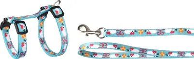 Zdjęcie produktu dla Szelki z smyczą dla kociąt Arwen 20–30 cm, niebieskie Flamingo