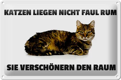 Produktbild von Blechschild Spruch 30x20cm Katzen verschönern den Raum