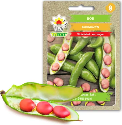Produktbild von Toraf Gemüsesamen Karminrote Saubohnen, Packung 30g