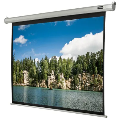 Produktbild von Celexon 1090074, 4:3, Schwarz, Weiß