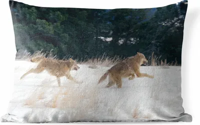 Produktbild von MuchoWow® Outdoor Kissen - Wolf - Baum - Tiere - 50x30 cm - Wetterfest - Lounge Kissen - Sofa kissen - Wohnzimmer Dekoration