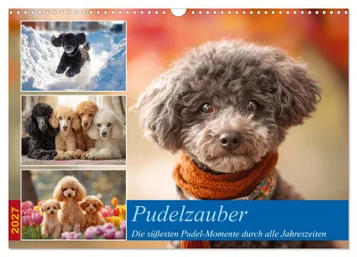 Produktbild von Pudelzauber (Wandkalender 2027 DIN A3 quer), CALVENDO Monatskalender