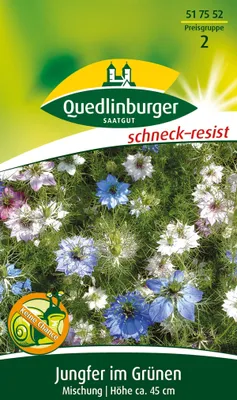 Produktbild von Quedlinburger Saatgut - Jungfer im Grünen Mischung - Samen - 517552
