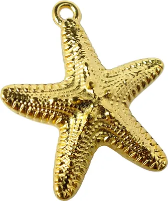Produktbild von Minott Schmuck Anhänger | Seestern Messing, gelbgoldfarben 36895